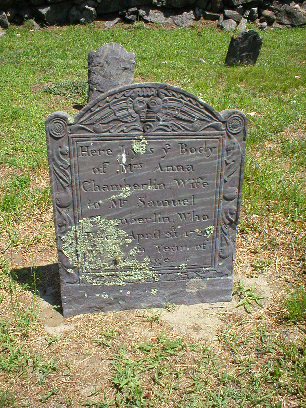 FMAnnaChamberlain.jpg (459132 bytes)