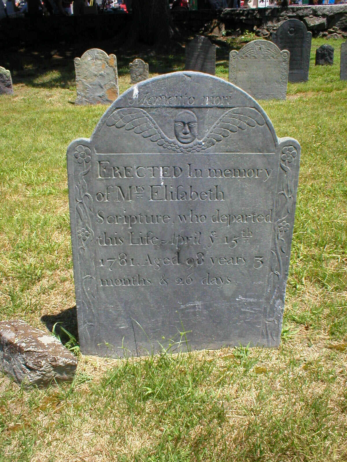 FMElizScripture.jpg (444650 bytes)